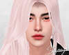 S. Mraz Boreal