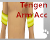 Kimetsu Tengen Arm Acc