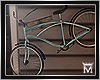 MayeWall Bike