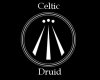 Celtic Druid