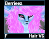 Berrieez Hair F V6