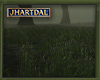 JL Forest Grass 2