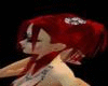 + Bloodroot Masae