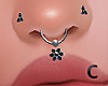 CK DRV Septum Combo V6