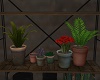 (X) Ind. Potted plants