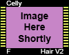 Celly Hair F V2