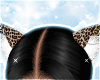 Leopard Ears