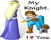 My Knight
