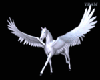Pegasus Animated