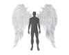 -DS-royal angel wings