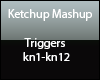 Ketchup Mashup