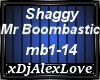 SHAGGY--MR BOOMBASTIC