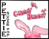 Ⓟ Cunny Bunny Sign