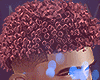 ㊕ Og Curly Rose