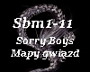 Sorry Boys Mapy gwiazd