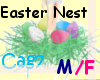 (Cag7)EasterNest M/F