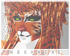 [HIME] Tiger Hair v1