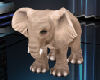 Gig-Baby Elephant ani