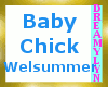 !D Baby Chick Welsummer
