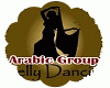 Arabic Belly Dance Group