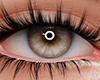 c. Eyes  1