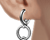 Dev. Earrings Pin