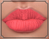 Diane MakeUp 3 Perman.