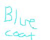 Blue&White Coat