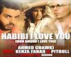 Habbibi Love u-Pitbull  