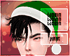 𝕎 Green Santa Black