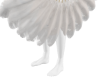 Ostrich Feather Fans