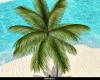 Animated Palm 