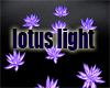 lotus light
