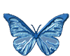 Animated Blue Butterfly