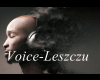 Voice-Leszczu