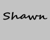Shawn Name Plate