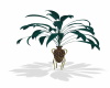 (Asli)Vaseand Plant