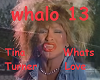 Tina Turner - Whats Love