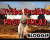 Litfiba Proibito