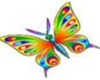 *Rainbow Butterfly*