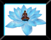 Cove meditation lotus
