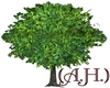 (A.H.) Summer Tree Req.