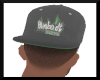 Humboldt SnapBack