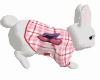 Valentines Bunny pet