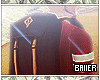 Voyager BackPack....