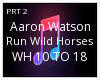 AARON WATSON WILD HORSES