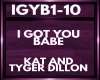 IGYB1-IGYB10