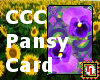 pansy card