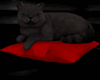 Red Romance Kitty Pillow