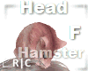 R|C Hamster Pink Head F